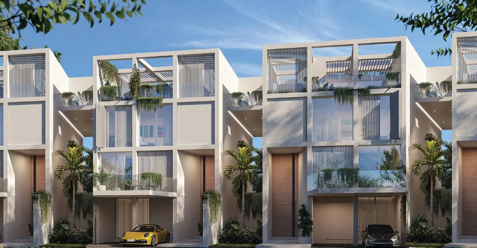 Ixora — image 1